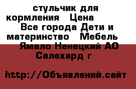 стульчик для кормления › Цена ­ 1 000 - Все города Дети и материнство » Мебель   . Ямало-Ненецкий АО,Салехард г.